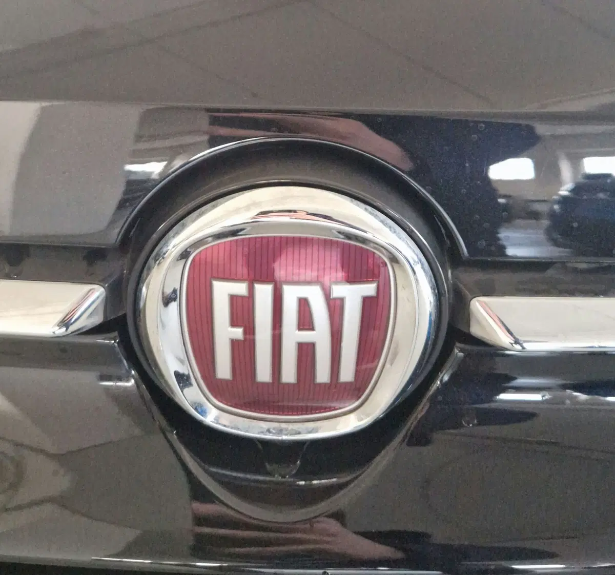 Fiat 500 nuova a Terni (19)