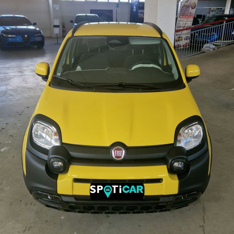 Fiat Pandina usata a Terni (2)