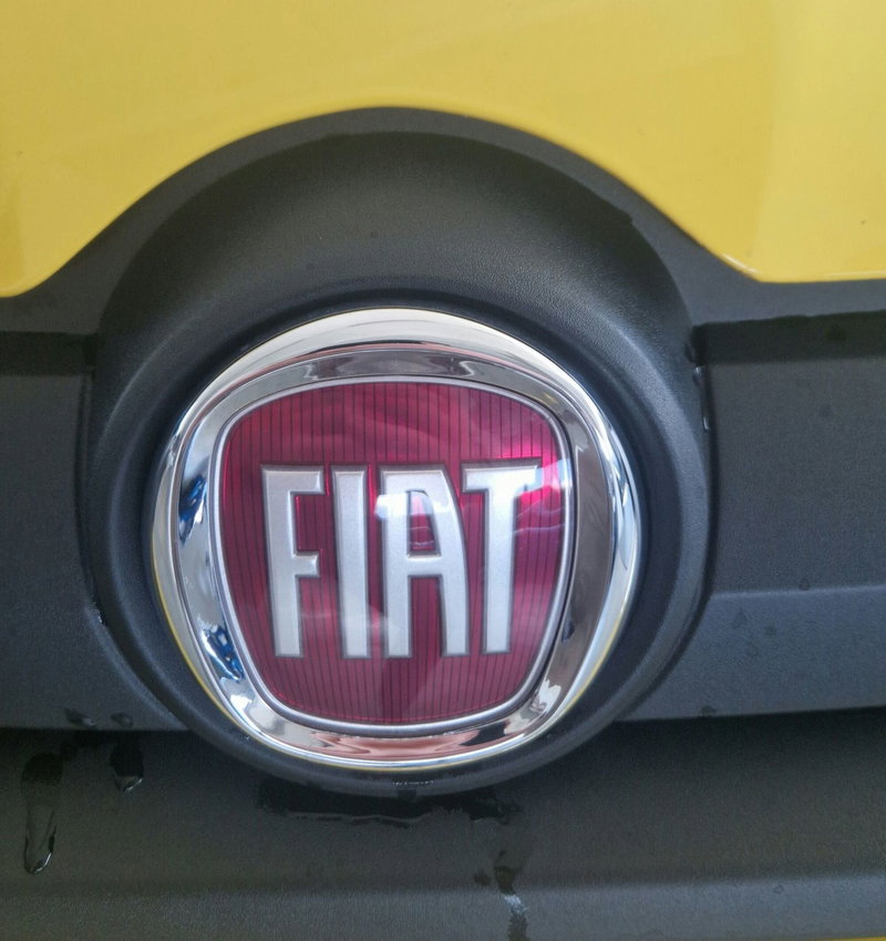 Fiat Pandina usata a Terni (20)