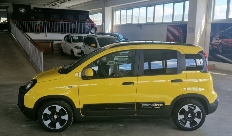 Fiat Pandina usata a Terni (3)