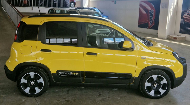 Fiat Pandina usata a Terni (6)