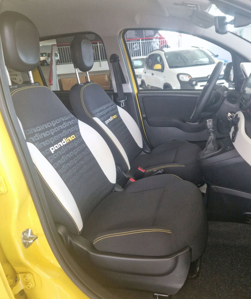 Fiat Pandina usata a Terni (8)