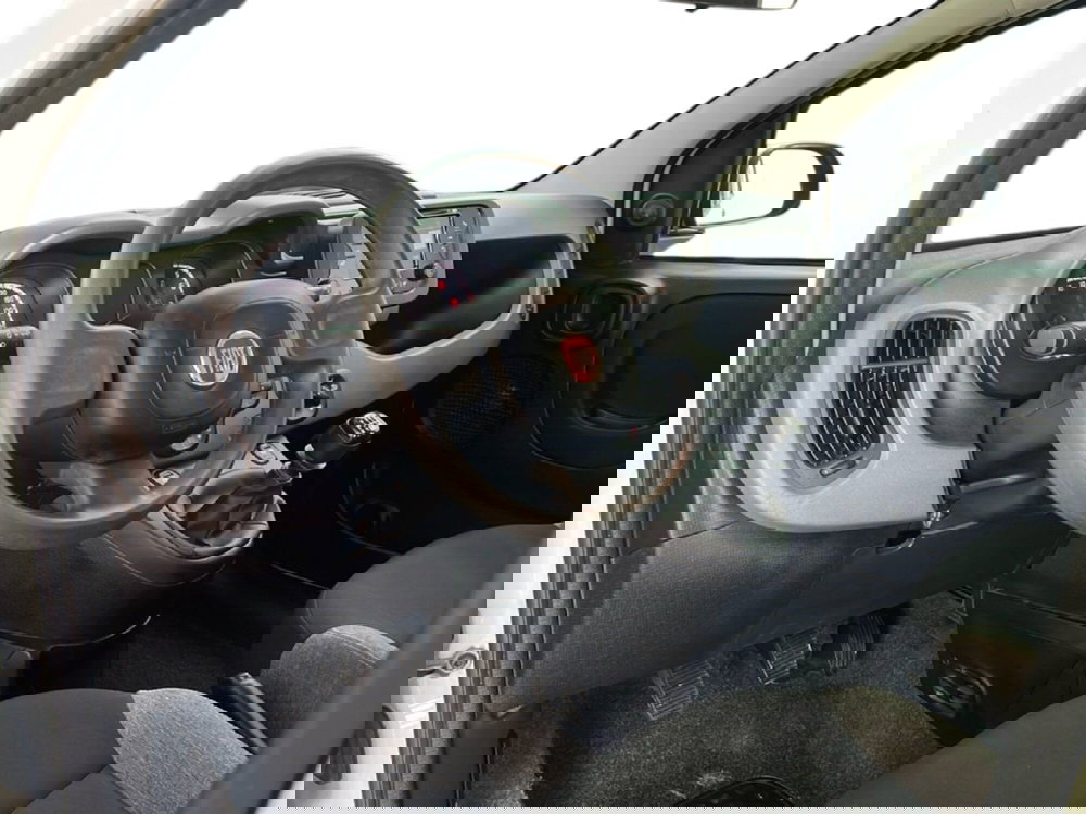 Fiat Panda usata a Roma (14)