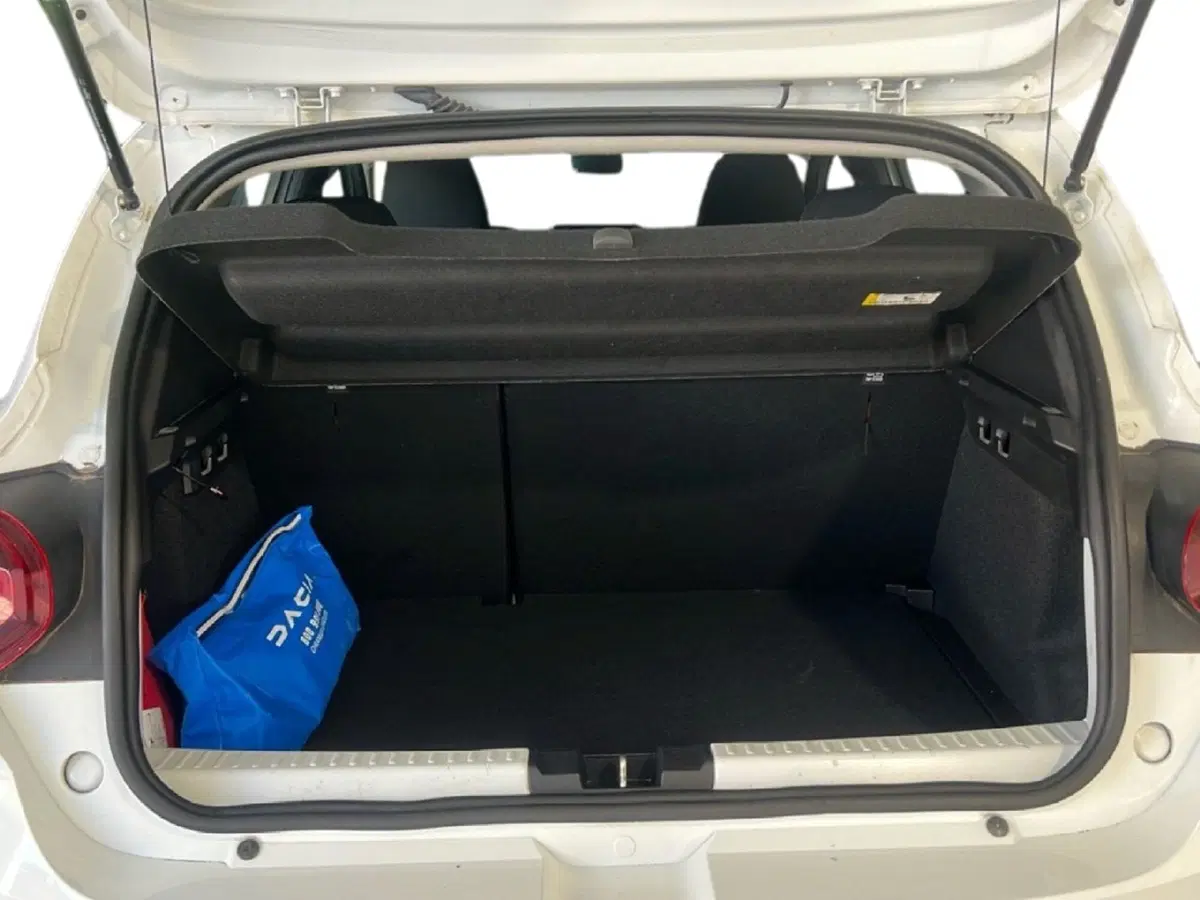 Dacia Sandero usata a Roma (10)