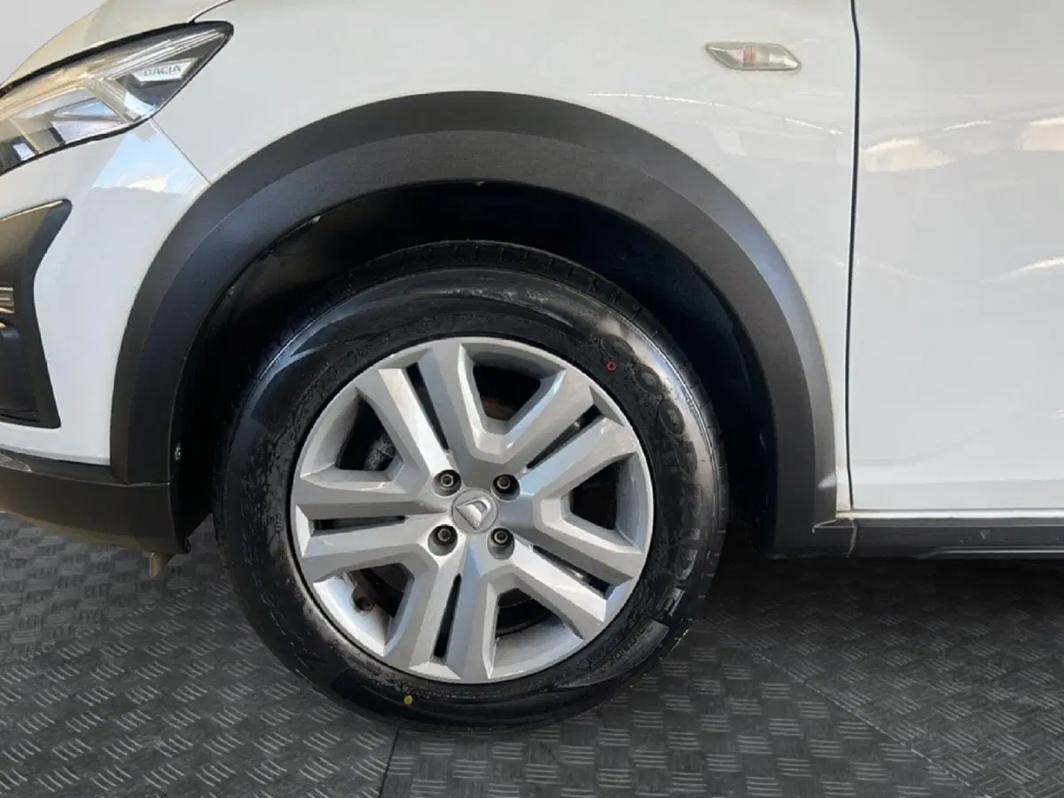 Dacia Sandero usata a Roma (9)