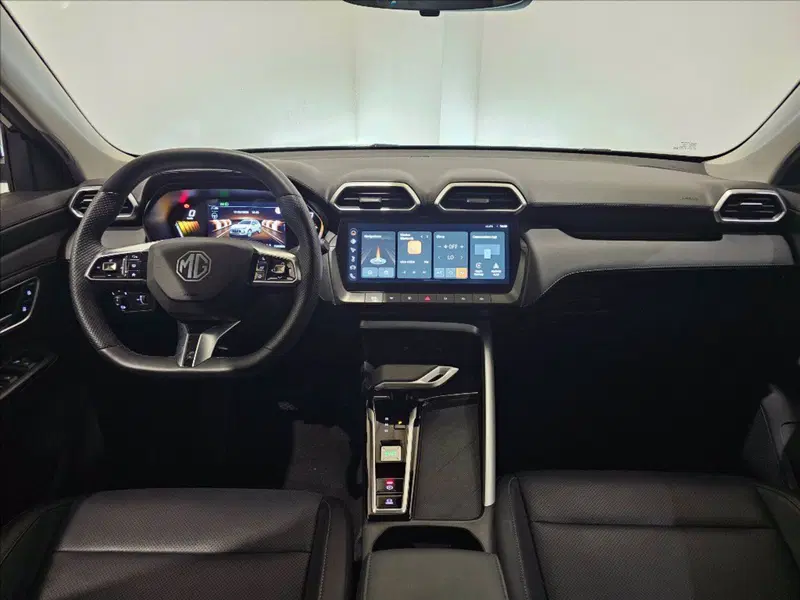 Mg ZS usata a Palermo (10)
