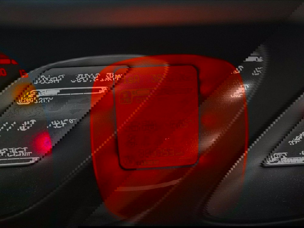 Fiat Panda Cross usata a Palermo (13)