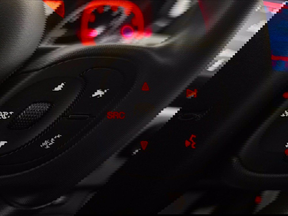 Fiat Panda Cross usata a Palermo (15)