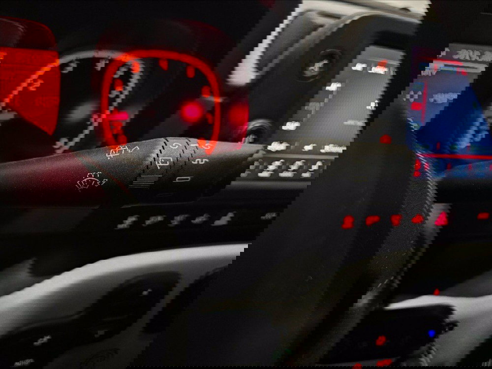 Fiat Panda Cross usata a Palermo (17)