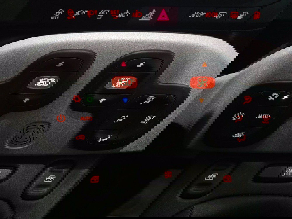 Fiat Panda Cross usata a Palermo (19)