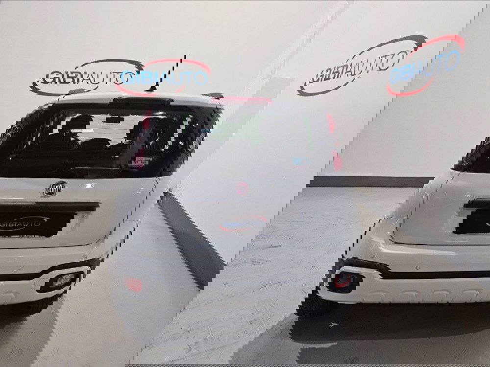 Fiat Panda Cross usata a Palermo (8)