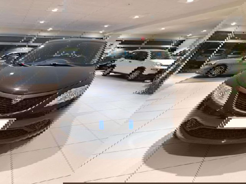 Lancia Ypsilon usata a Savona (2)