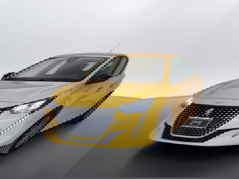 Peugeot 208 usata a Teramo