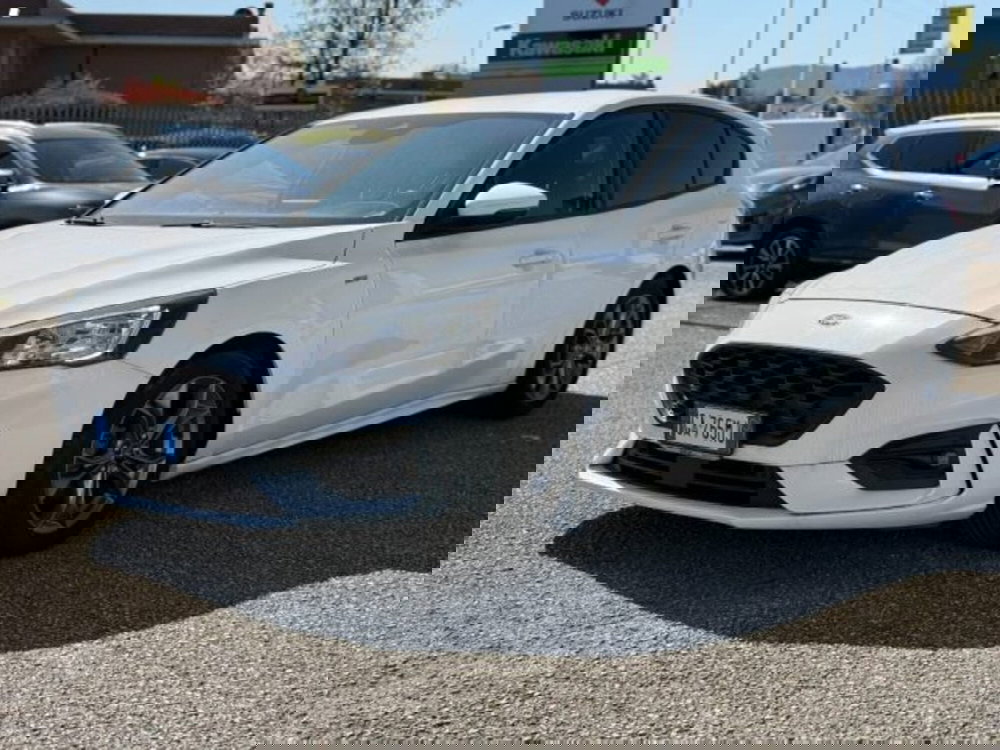 Ford Focus usata a Lucca