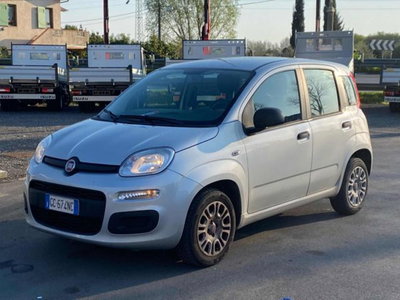 Fiat Panda 1.2 Easy del 2020 usata a Massarosa