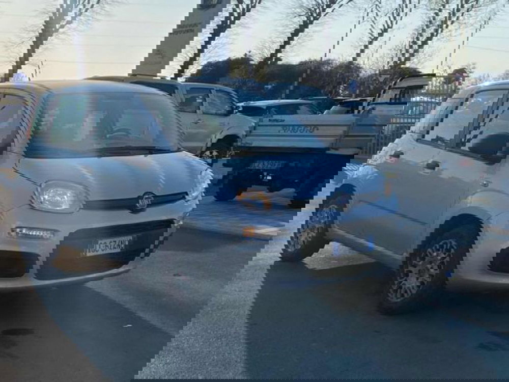 Fiat Panda usata a Lucca (2)