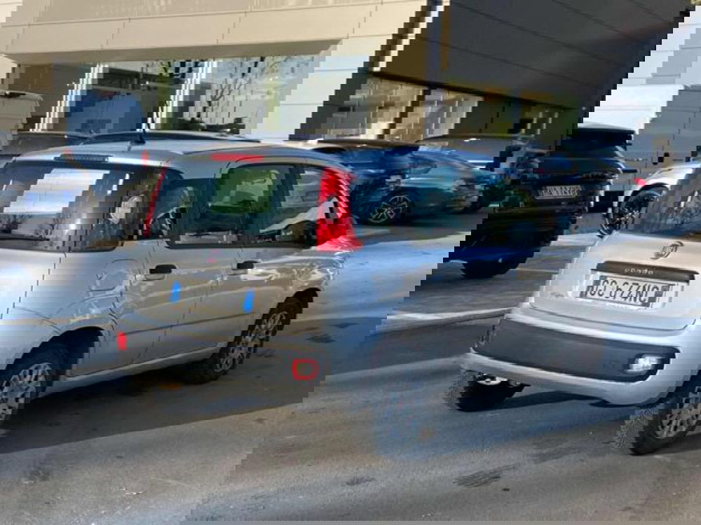 Fiat Panda usata a Lucca (4)