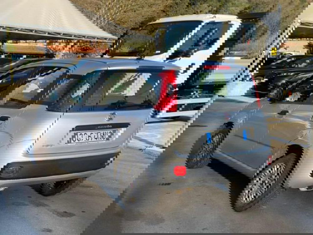 Fiat Panda usata a Lucca (6)