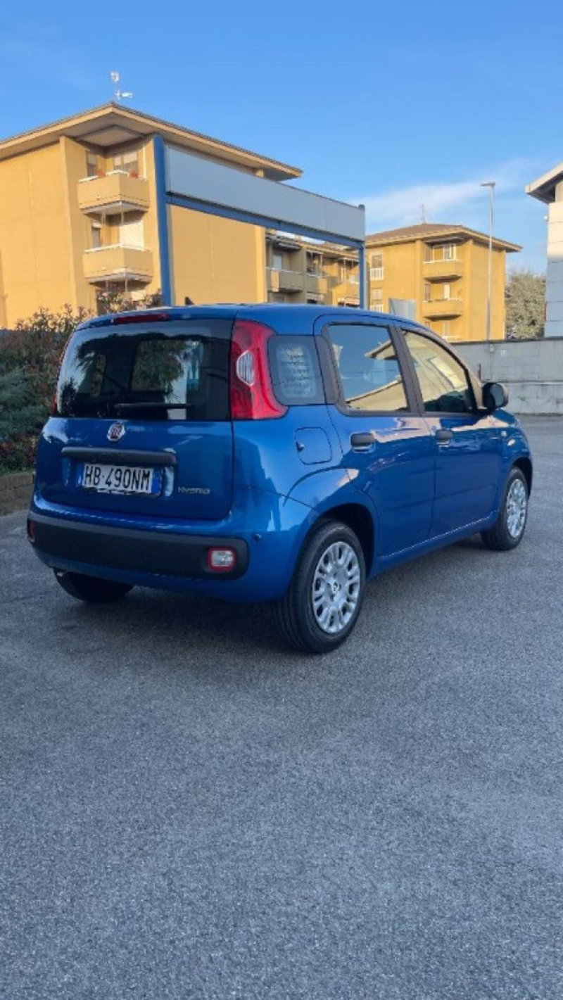 Fiat Pandina nuova a Novara (4)