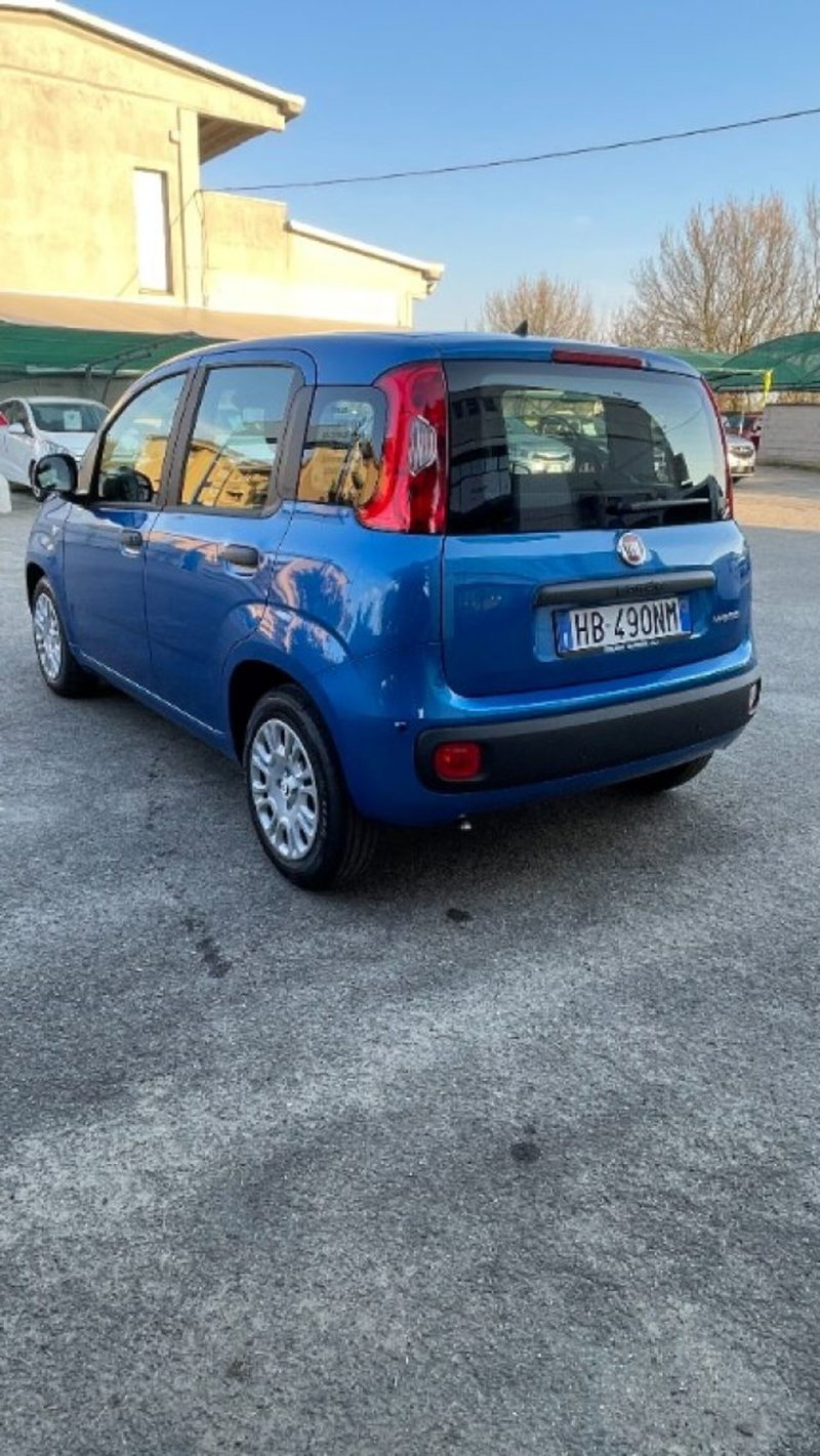 Fiat Pandina nuova a Novara (5)