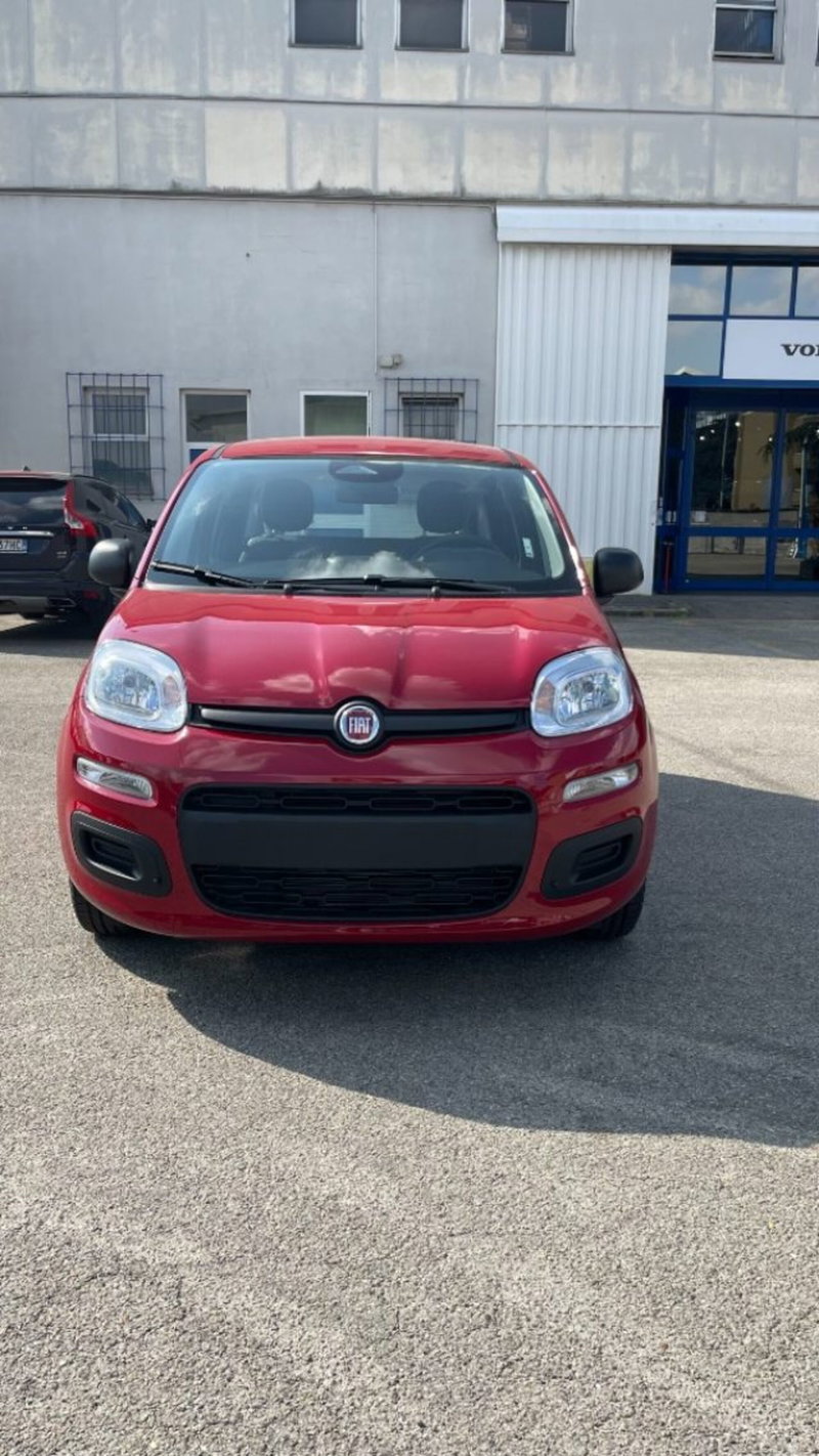 Fiat Pandina nuova a Novara (2)