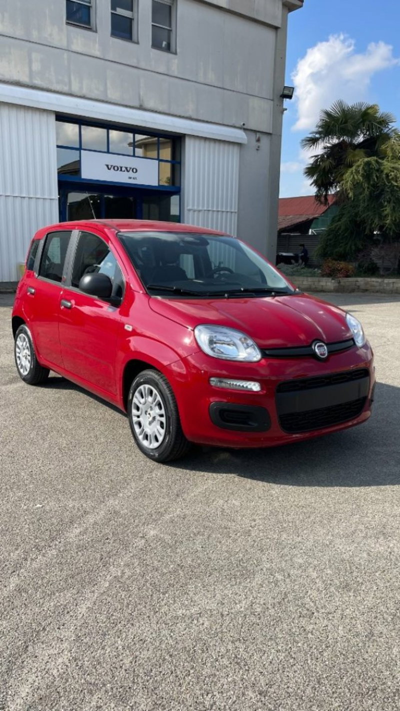 Fiat Pandina nuova a Novara (3)