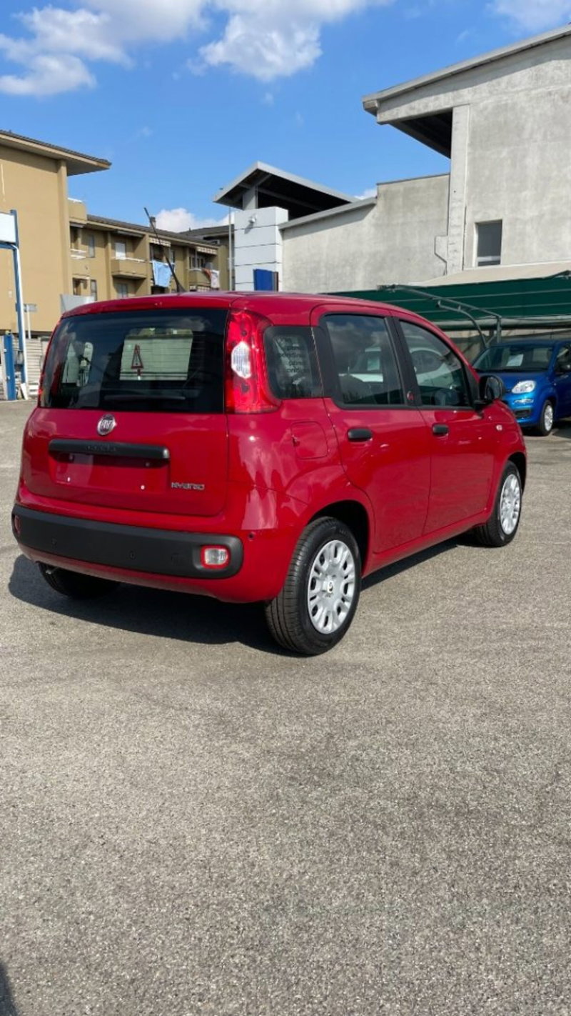 Fiat Pandina nuova a Novara (4)