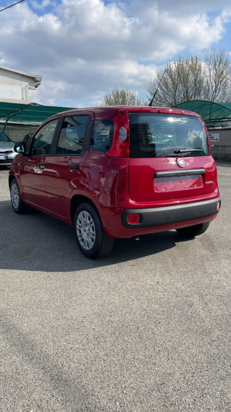 Fiat Pandina nuova a Novara (5)