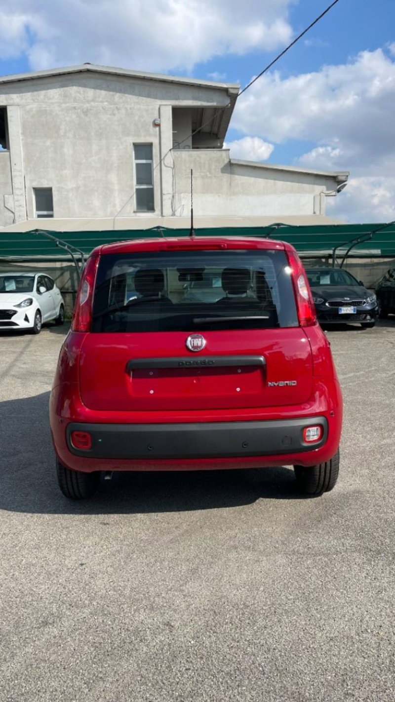 Fiat Pandina nuova a Novara (6)