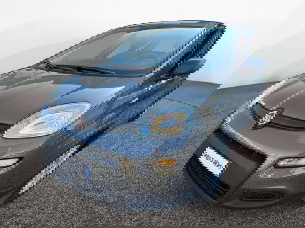 Fiat Panda usata a Firenze (3)