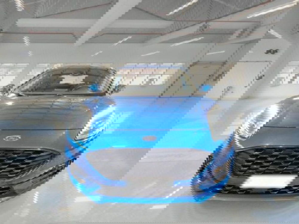 Ford Puma usata a Catania (3)