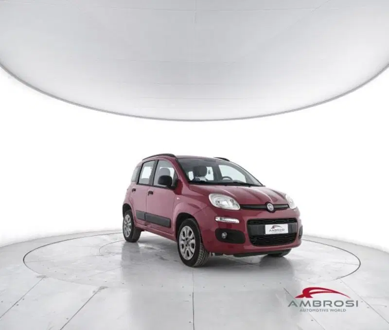 Fiat Panda usata a Perugia (2)