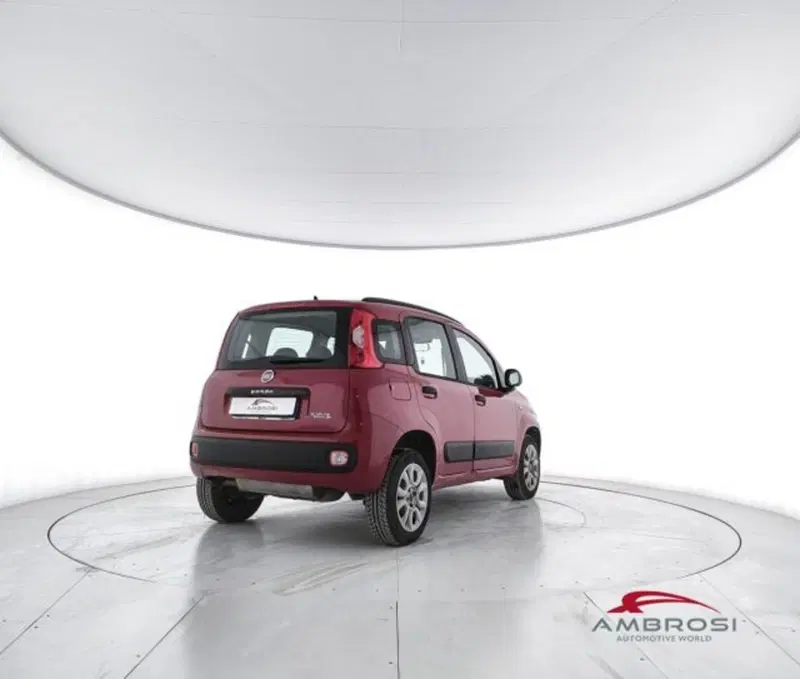 Fiat Panda usata a Perugia (3)