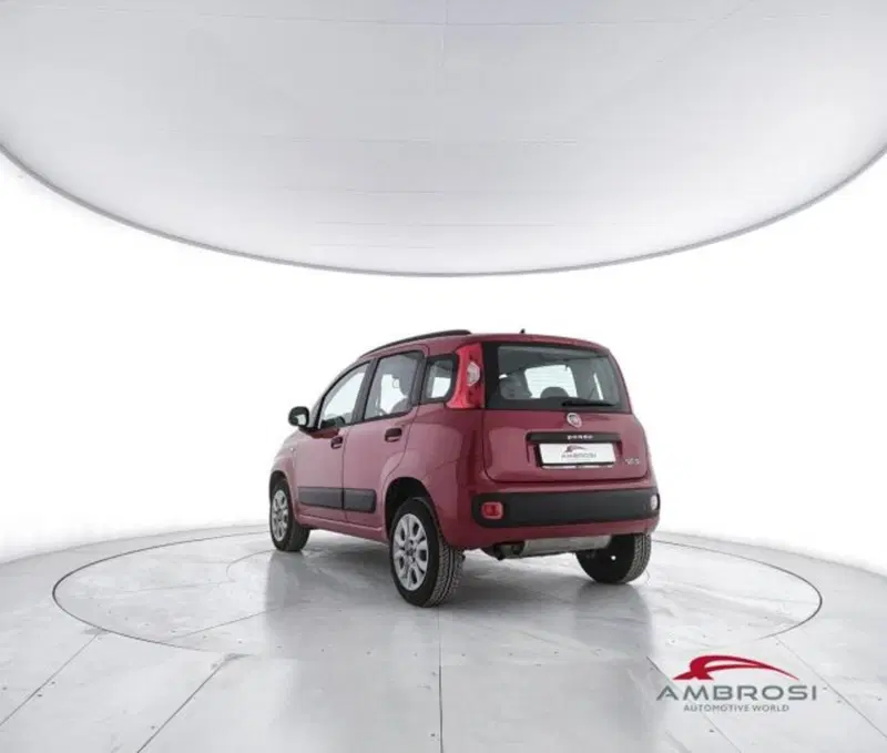 Fiat Panda usata a Perugia (4)