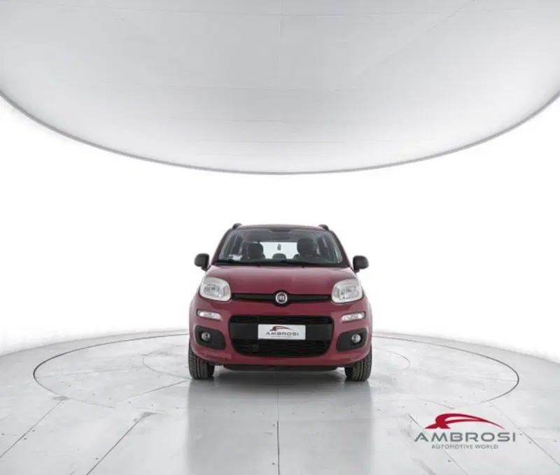 Fiat Panda usata a Perugia (5)