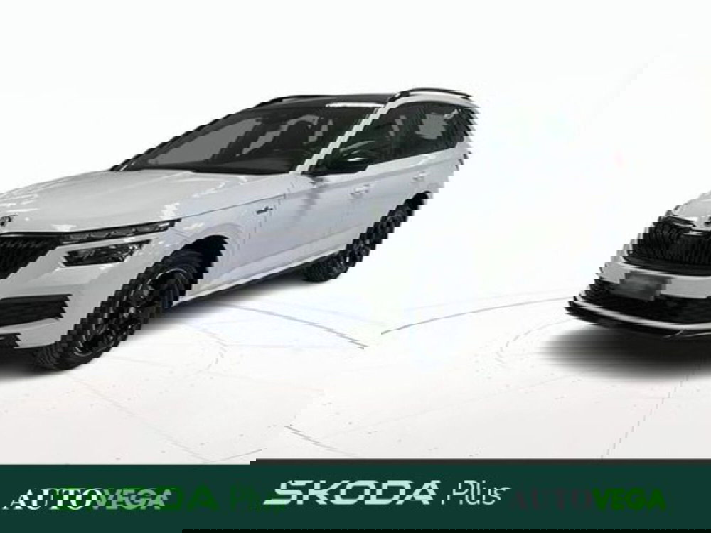 Skoda Kamiq usata a Vicenza