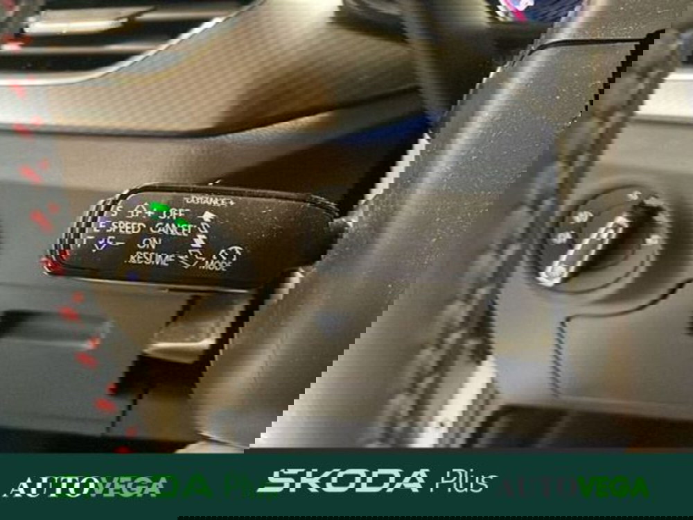 Skoda Kamiq usata a Vicenza (16)