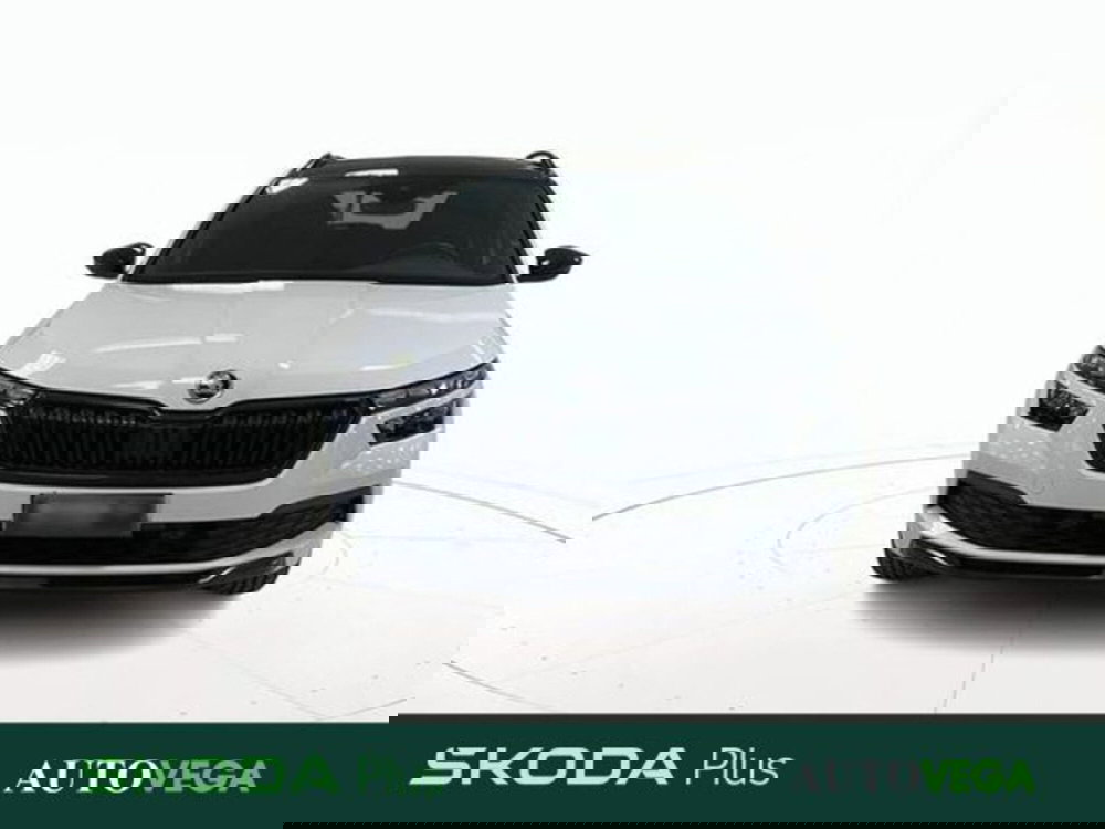 Skoda Kamiq usata a Vicenza (2)