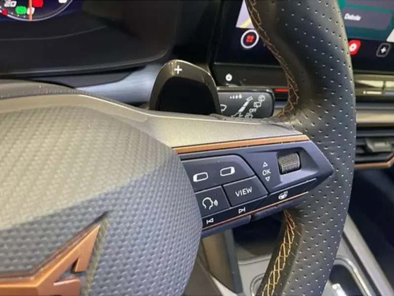 Cupra Formentor usata a Vicenza (17)