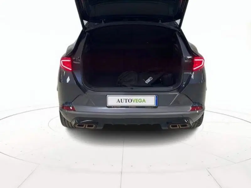 Cupra Formentor usata a Vicenza (18)