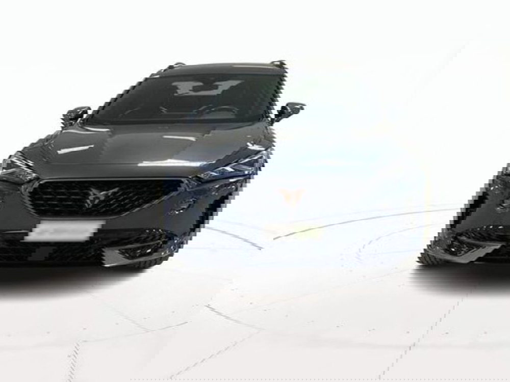 Cupra Formentor usata a Vicenza (2)