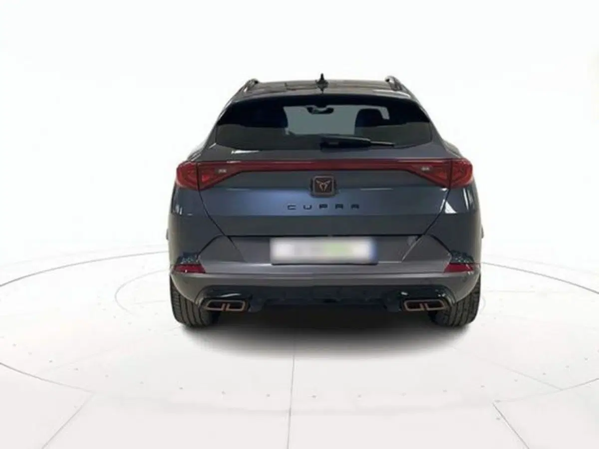 Cupra Formentor usata a Vicenza (5)