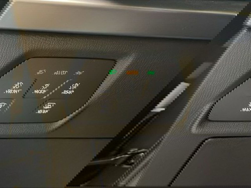 Cupra Formentor usata a Vicenza (17)