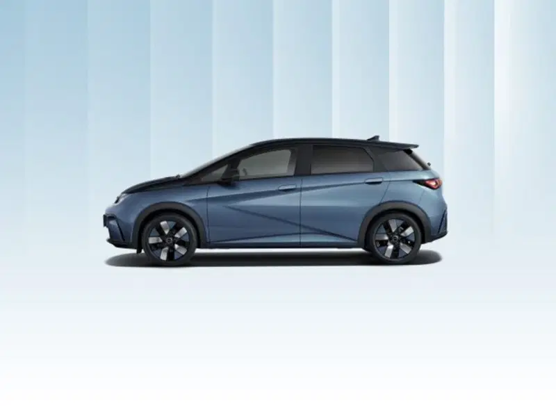 Byd Dolphin Surf nuova a Torino (2)