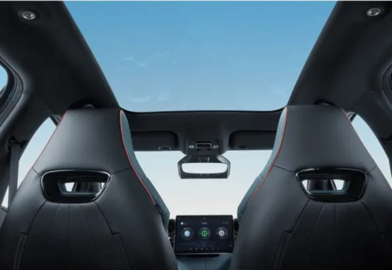 Byd Dolphin Surf nuova a Torino (6)