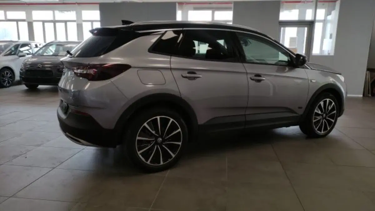 Opel Grandland X usata a Torino (4)