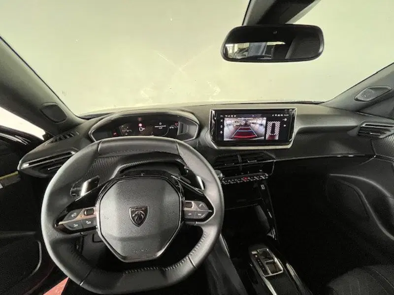 Peugeot 2008 usata a Torino (12)