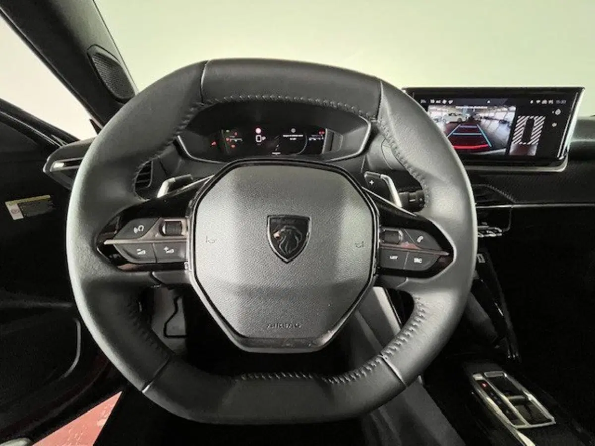Peugeot 2008 usata a Torino (13)