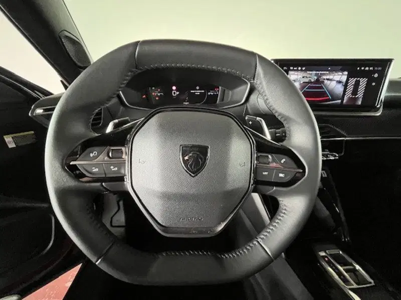 Peugeot 2008 usata a Torino (13)