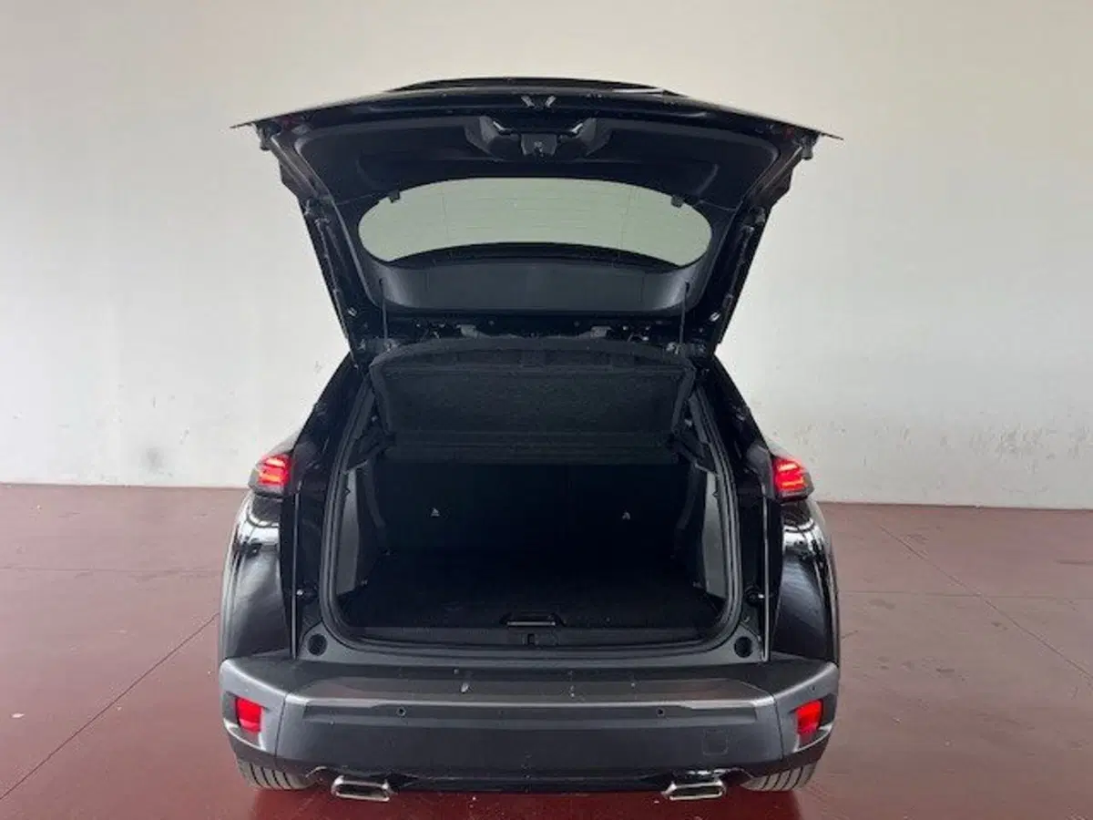 Peugeot 2008 usata a Torino (19)